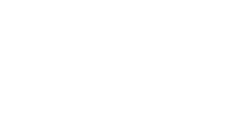 B&B Penguin Consulting